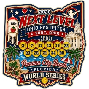 USA Softball trading pin