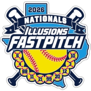 USA Softball trading pin