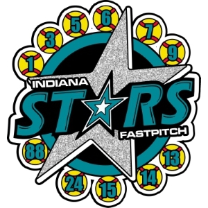 USA Softball trading pin