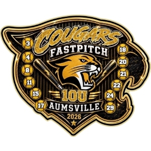 USFA World Series trading pin