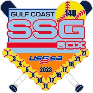 Gulf Coast Nationals pin