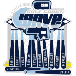 Gulf Coast Nationals pin