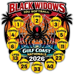 Gulf Coast Nationals trading pin