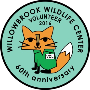 Volunteer award pins Volunteer award pins
