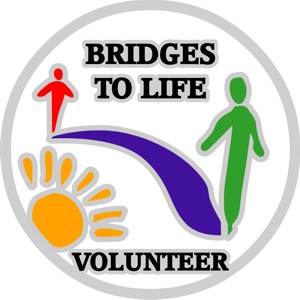 Community volunteer pins Community volunteer pins